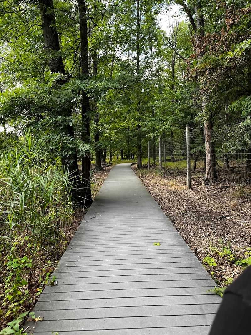 How The Sanctuary Handles Accessibility And Trail Design