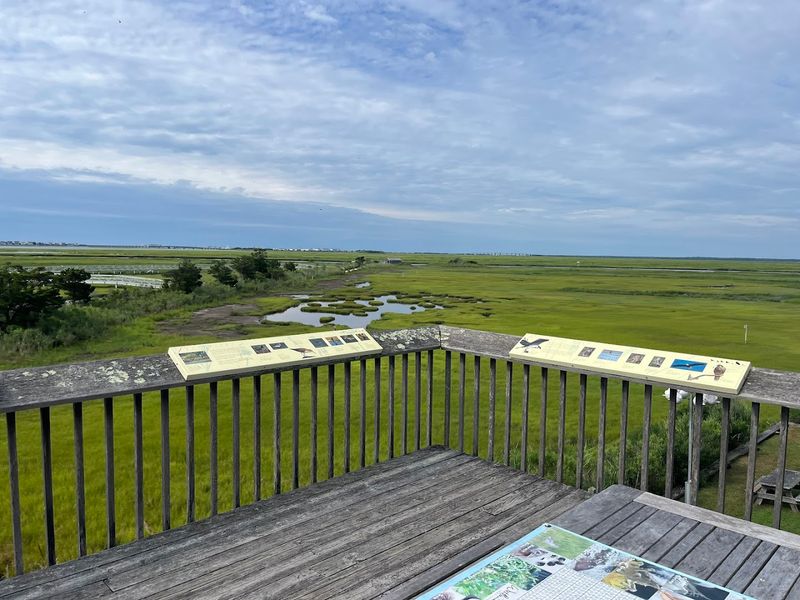 The Elevated Boardwalk Trail