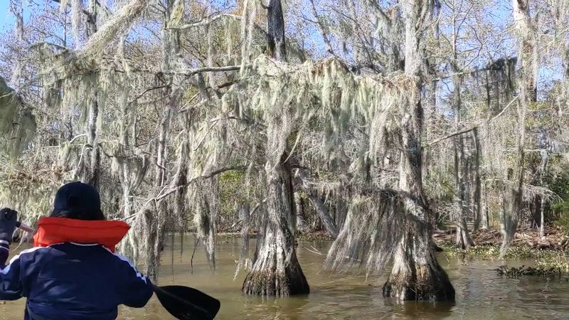 The Neches Paddling Trail: Where the River Takes Over