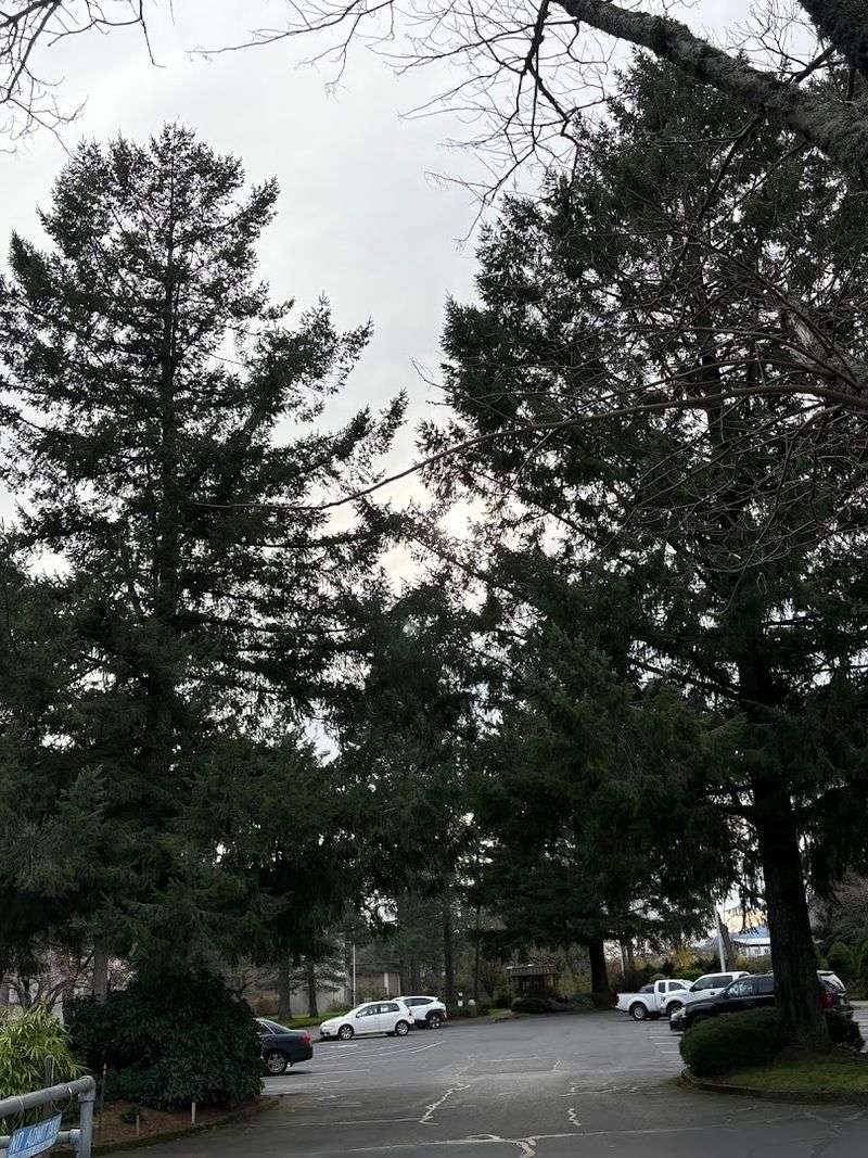 Planning Your Visit: Tips for the Best Experience