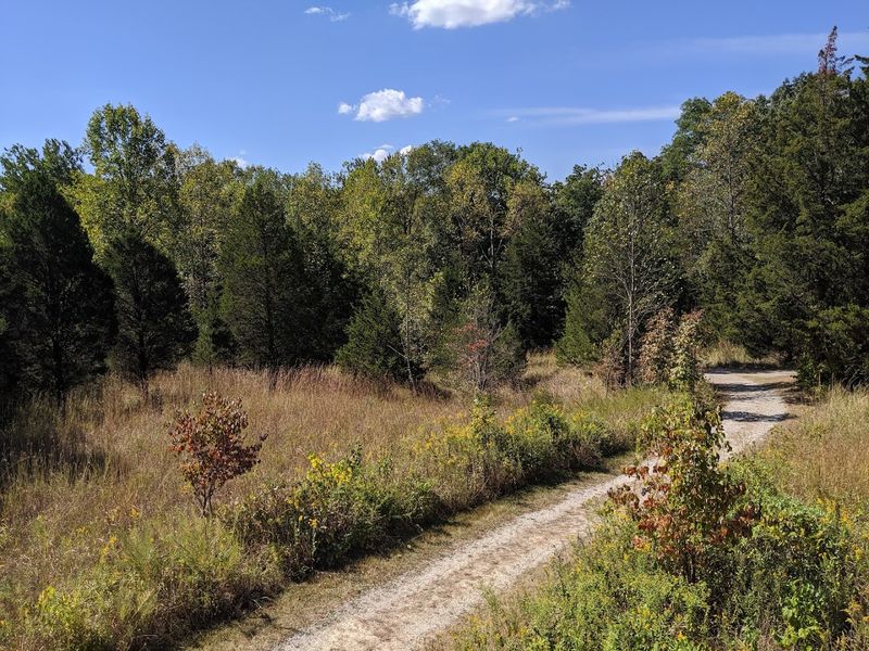 A Quiet Meadow Perfect For A Deep Breath