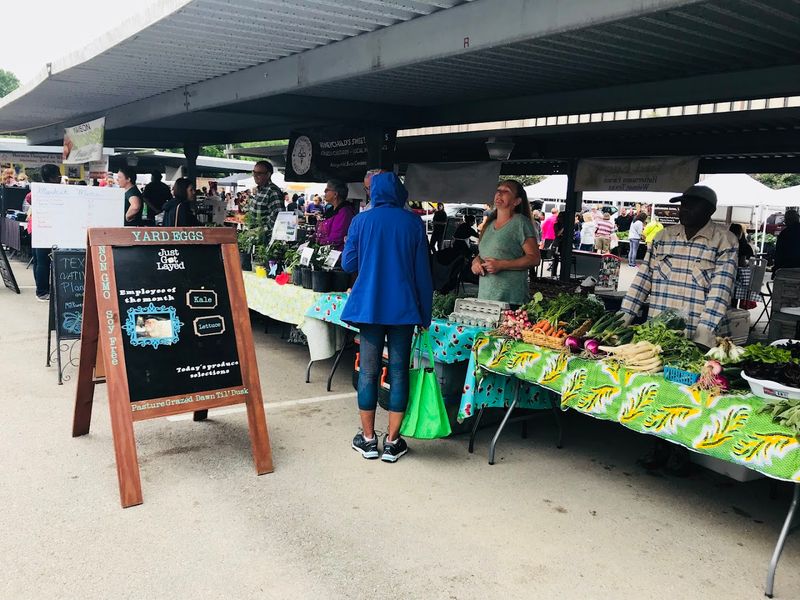 Supporting Family Farms And Small Growers In The Houston Area