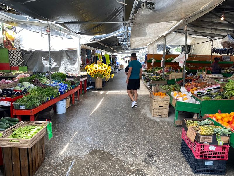 Endless Aisles Stretching Beneath The Open Florida Sky
