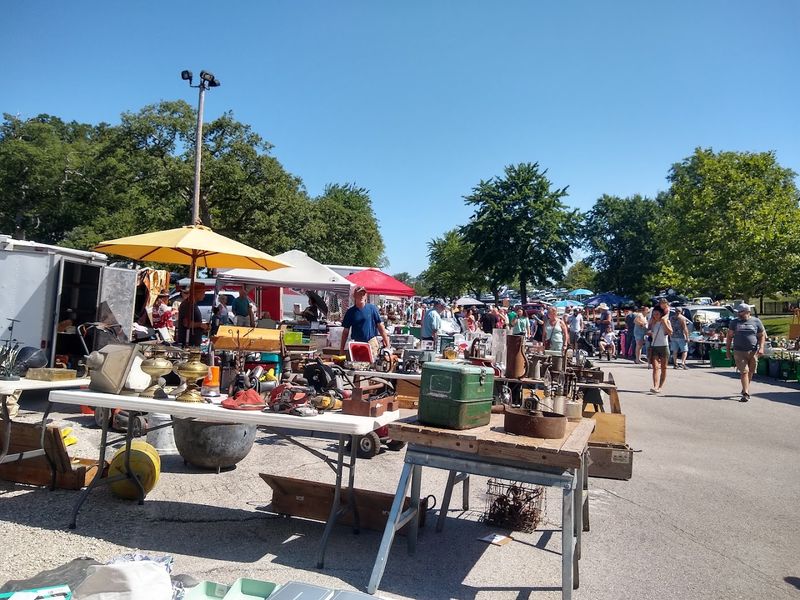 Early Morning Is the Golden Hour for Treasure Hunters