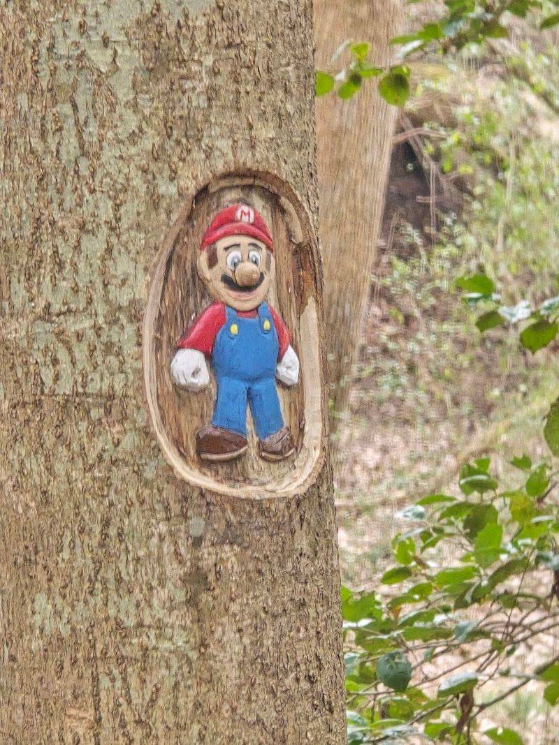 Fan-Favorite Characters Carved Into Living Wood