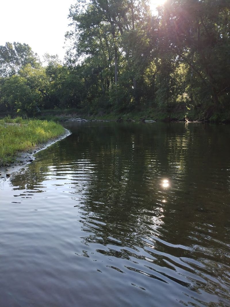 Wildlife Watching Opportunities Around Every Bend