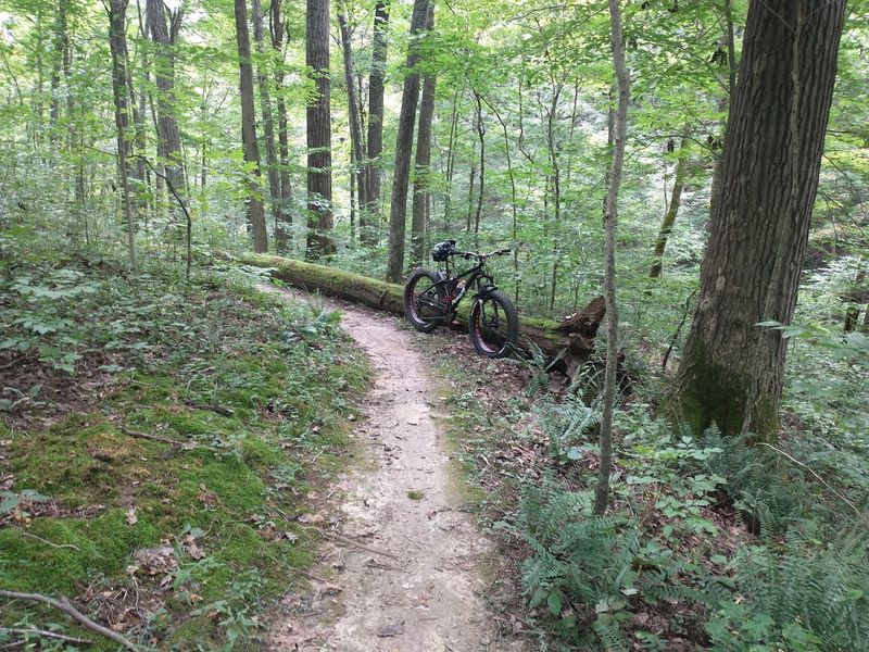 Mountain Biking Trails for All Skill Levels