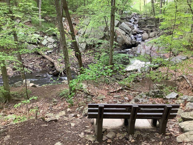 The Loree Forest Chapel