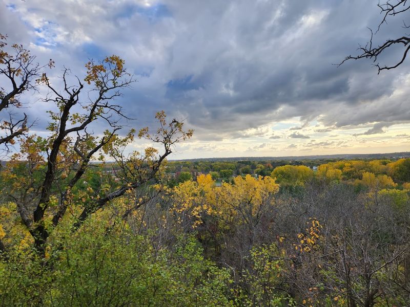 Winter Activities That Keep the Fun Going