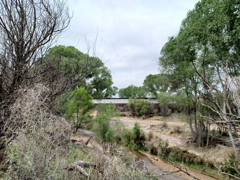 The San Pedro River Valley Setting