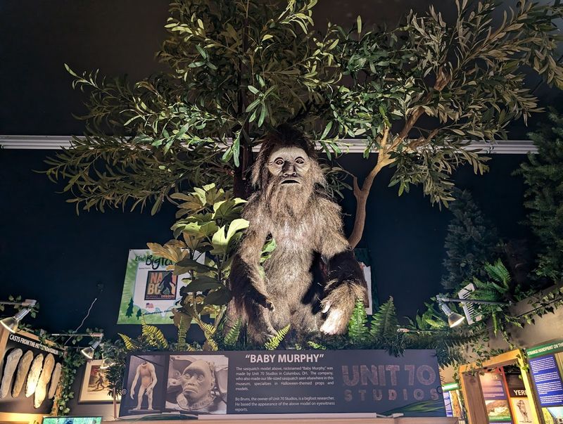 A Welcoming Spot for Families, Road-Trippers, and True Believers