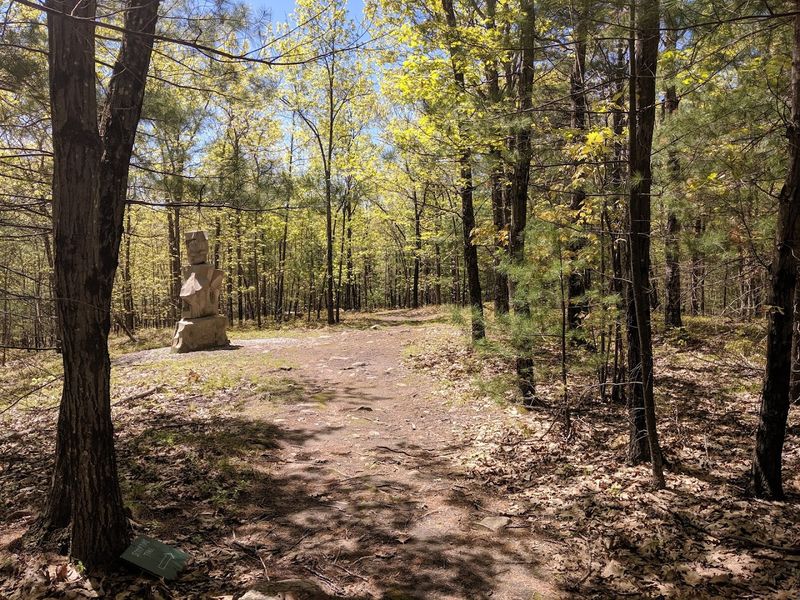 Miles of Trail Winding Through the Mountain