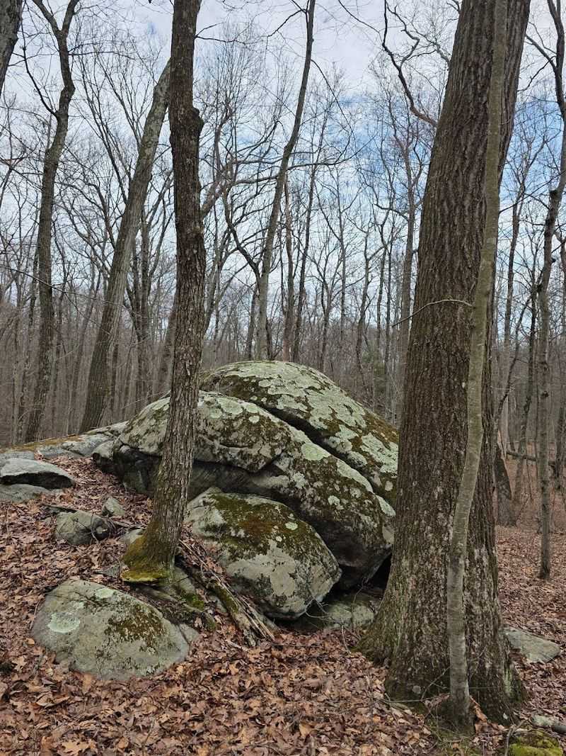 The Gravel Lot That Starts It All: Arriving at Apshawa Preserve
