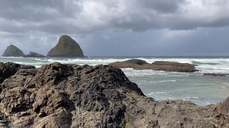 Tide Pooling and Agate Hunting: The Real Treasure Hunt