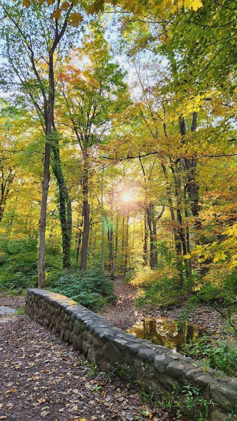 Getting There Without Losing Your Mind