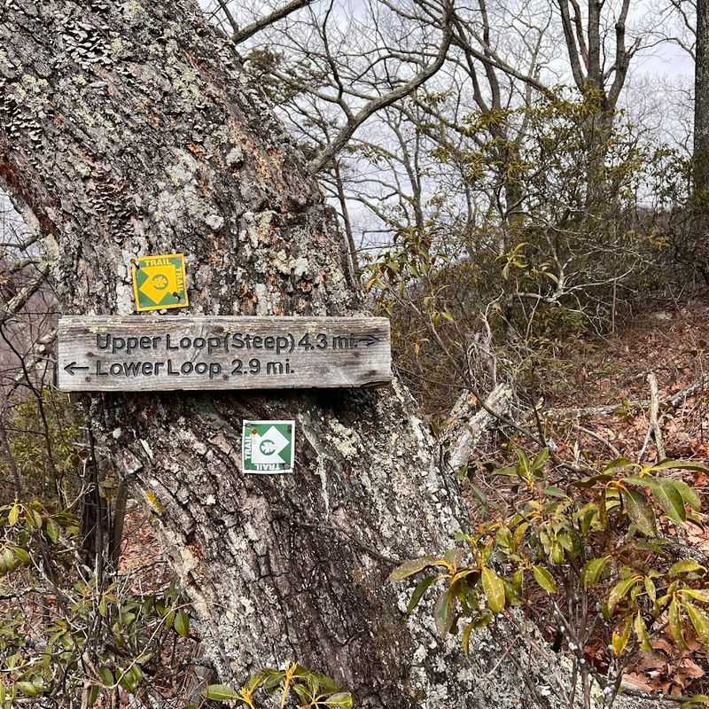 Trail Rules That Actually Make Sense Here