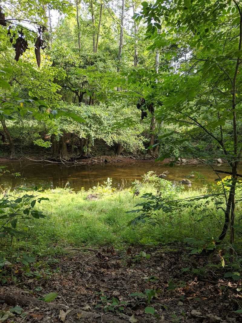 Fishing And Wildlife Along The Muscatatuck River