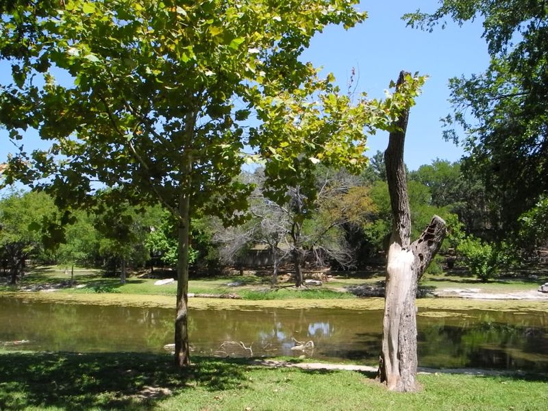 Why Round Rock Locals Keep Coming Back Why Round Rock Locals Keep Coming Back