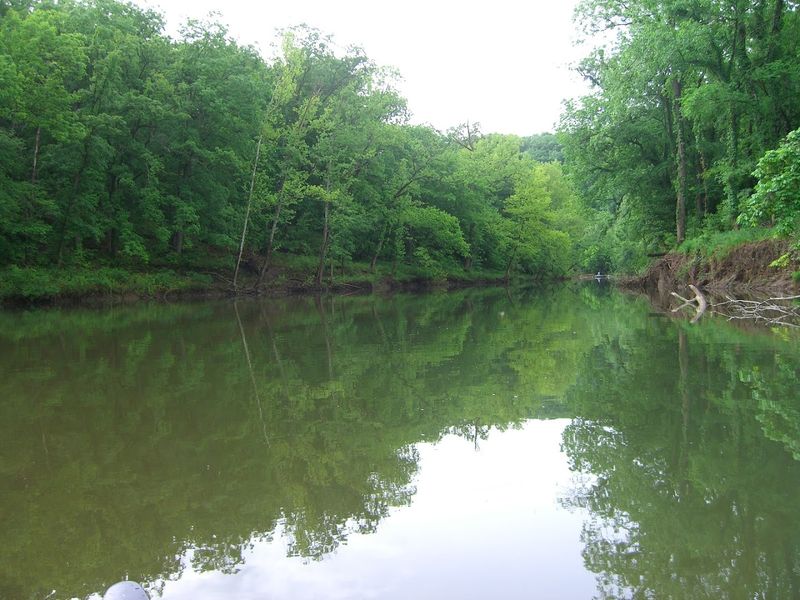 Wildlife and Natural Wonders Around the River