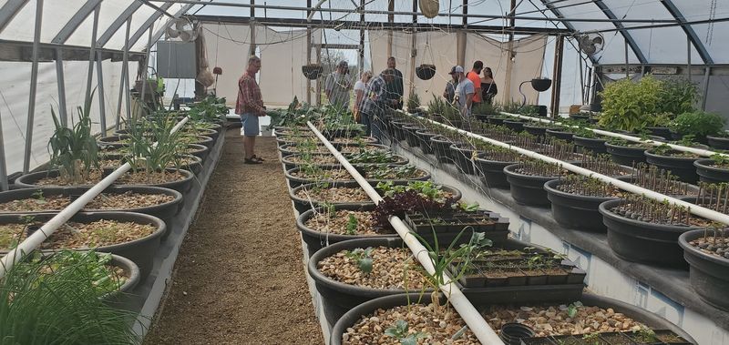 A Farm Built Around One Remarkable Plant