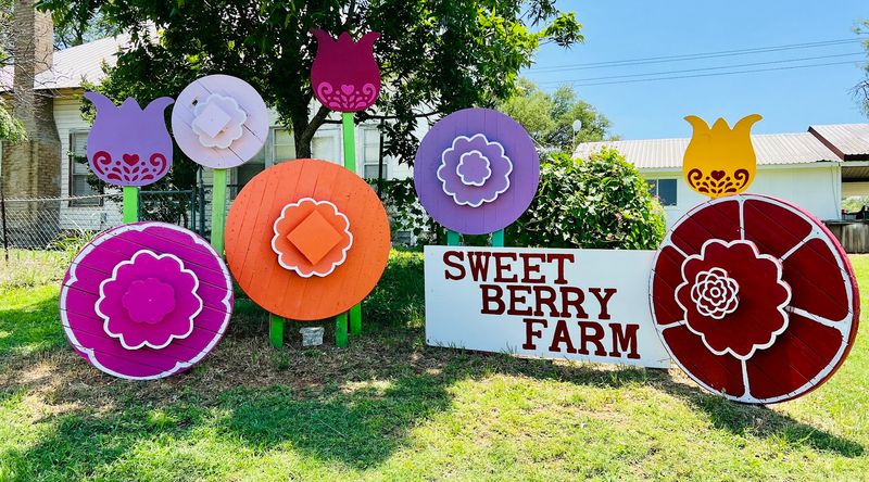 Planning Your Visit: What You Need to Know Before You Go