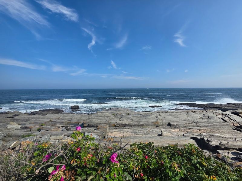 Ocean Views That Make Every Bite Better