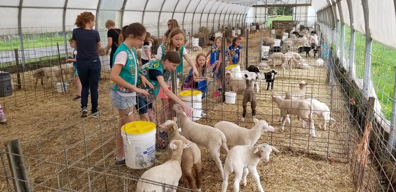 Farm Tours That Actually Teach You Something