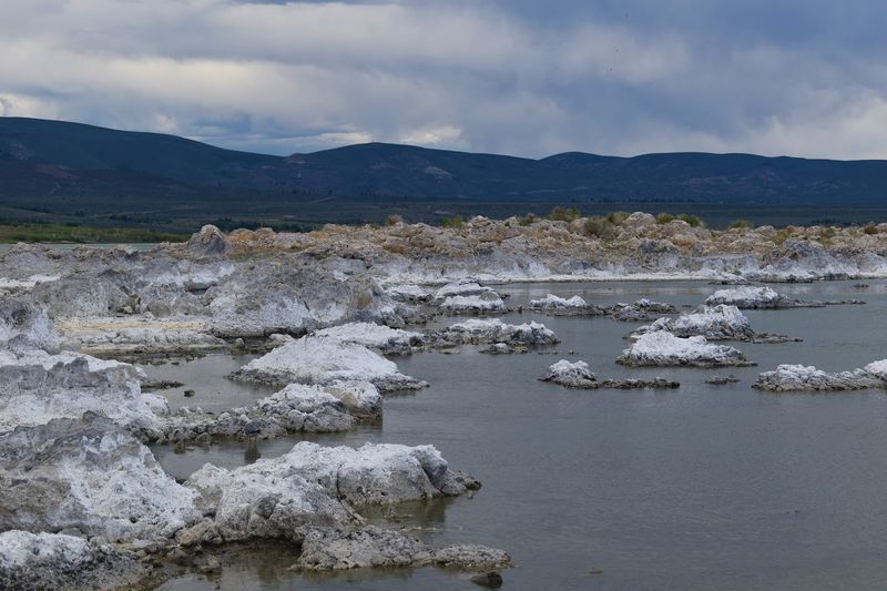 Ecological Stress Keeps Mono Lake In Focus