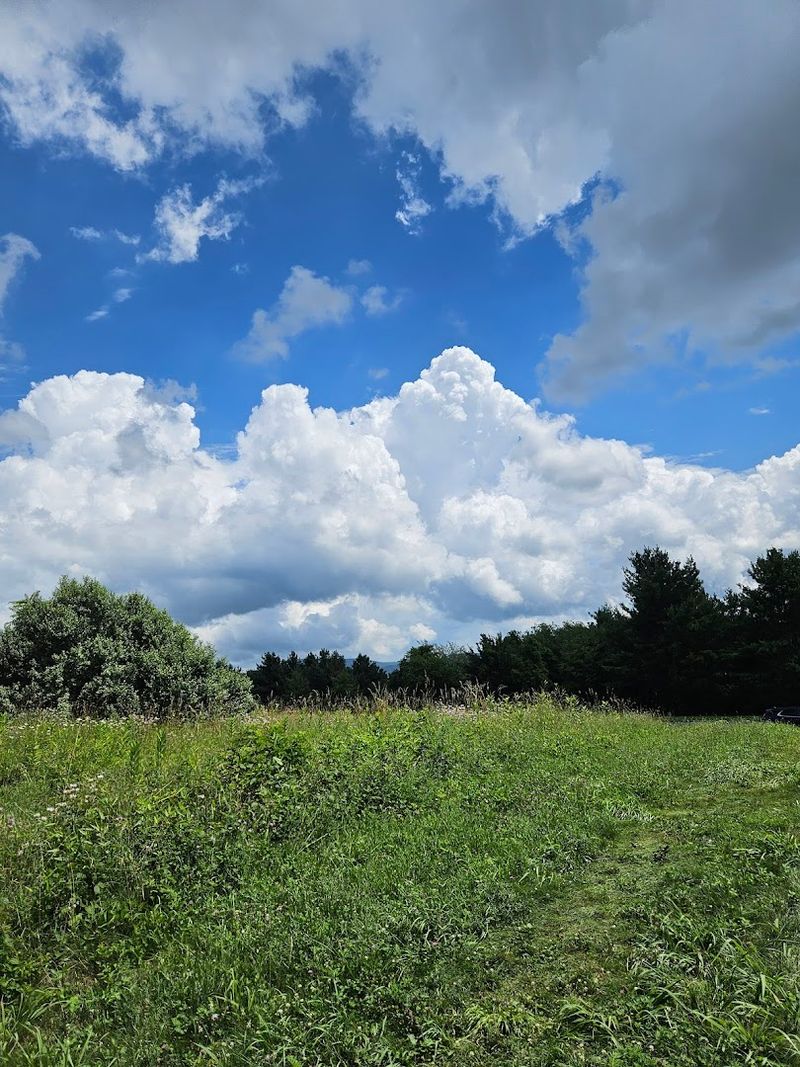 Cloud Watching as a Legitimate Activity