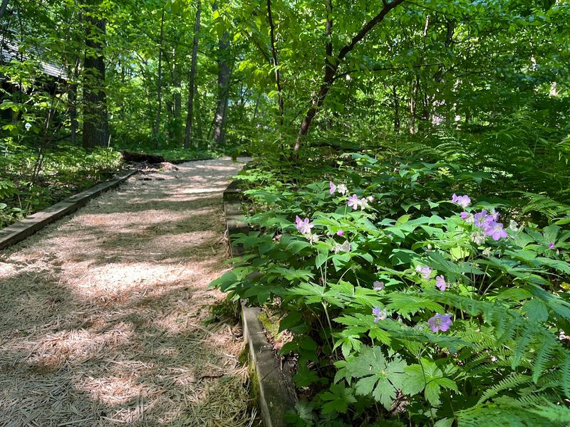 Free Admission and Family-Friendly Trails