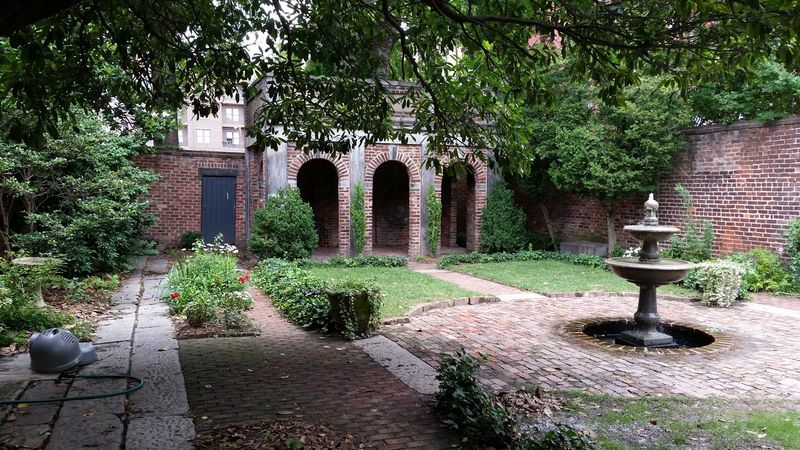 Edgar and Tib, the Garden's Resident Black Cats
