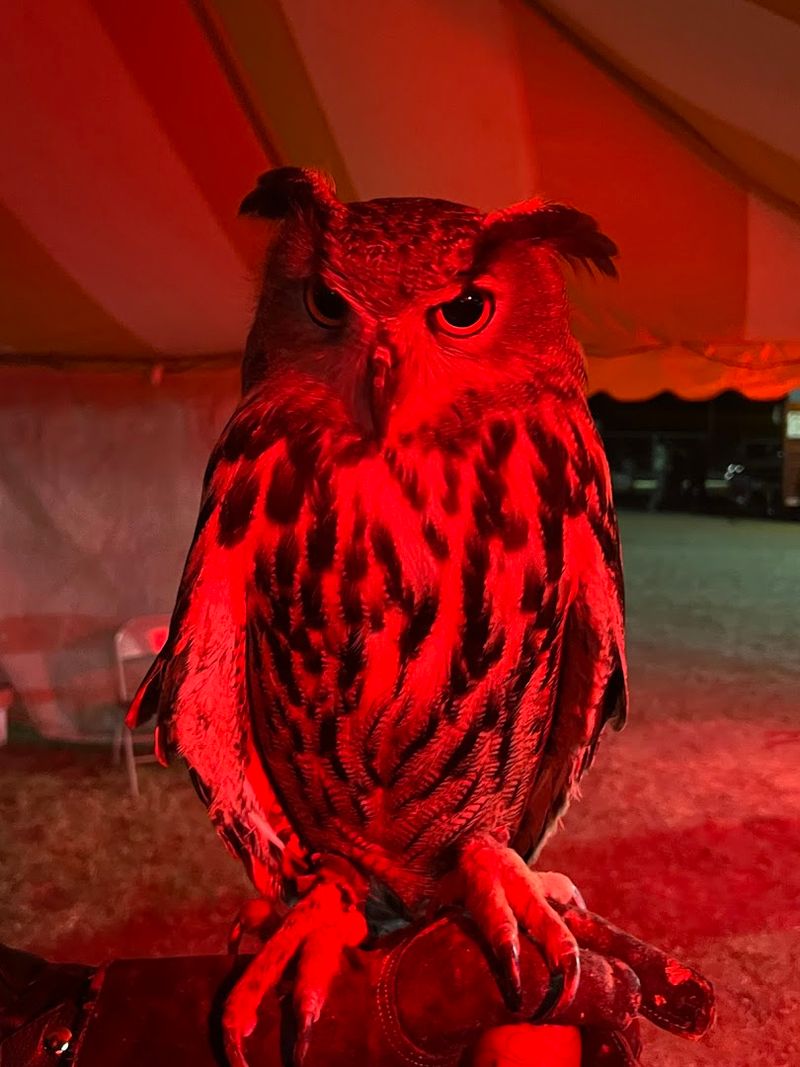 What the Setting in Guthrie Adds to the Whole Experience