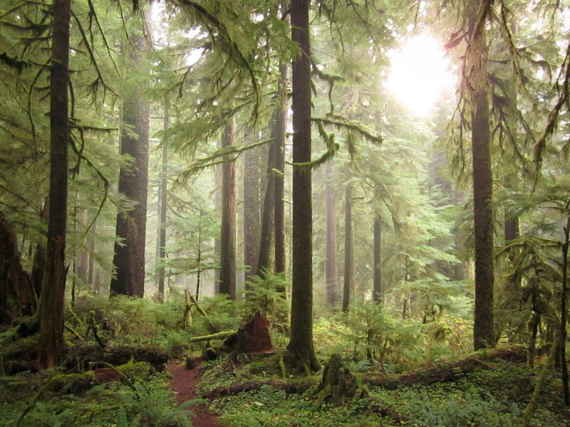 What It Actually Feels Like Inside the Grove