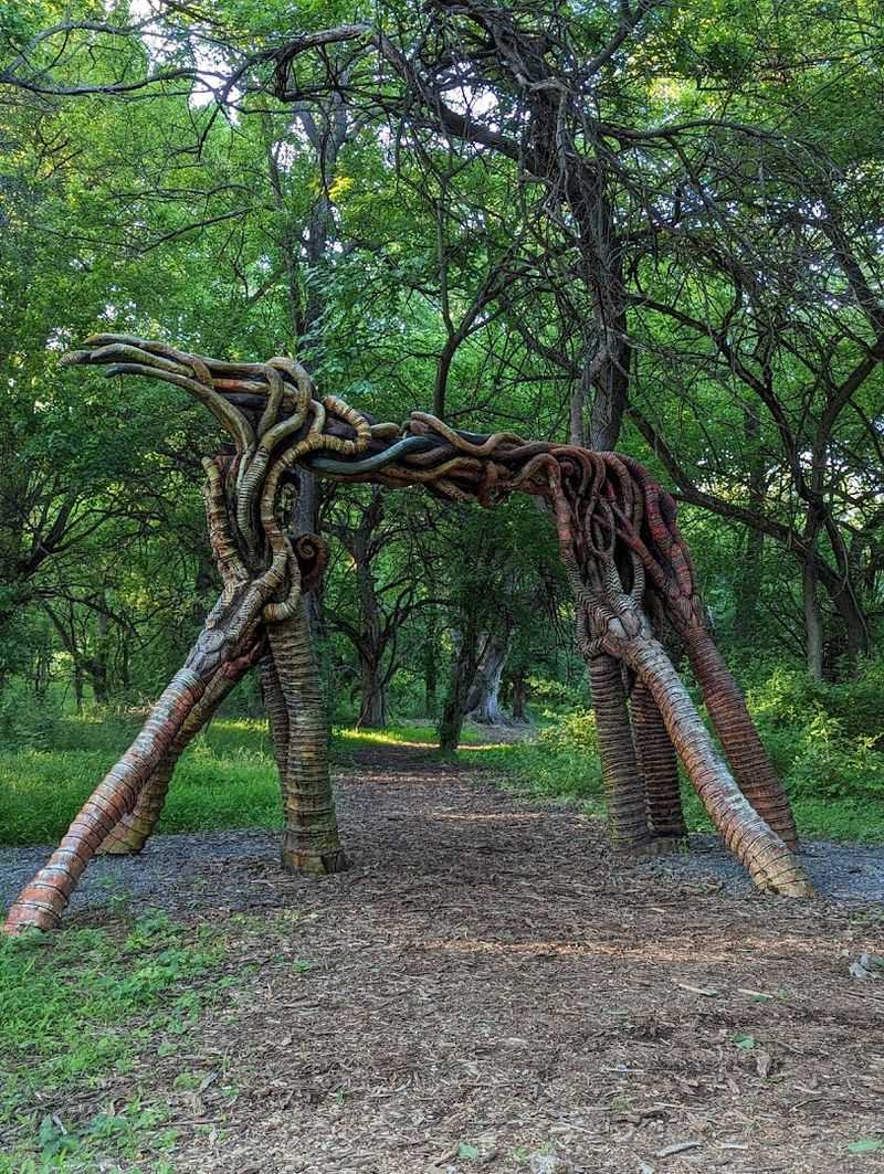 The Treehouse Tucked Around a Living Walnut Tree