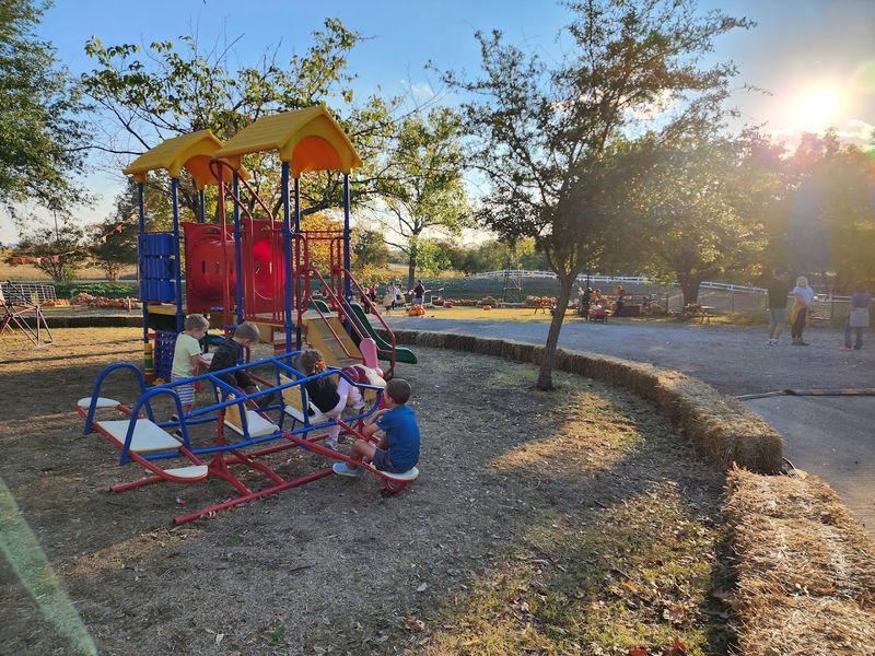 The Playground That Keeps Kids Busy for Hours