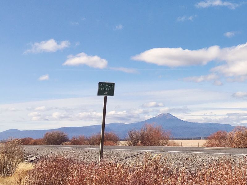 What the Marsh Looks Like Through the Seasons