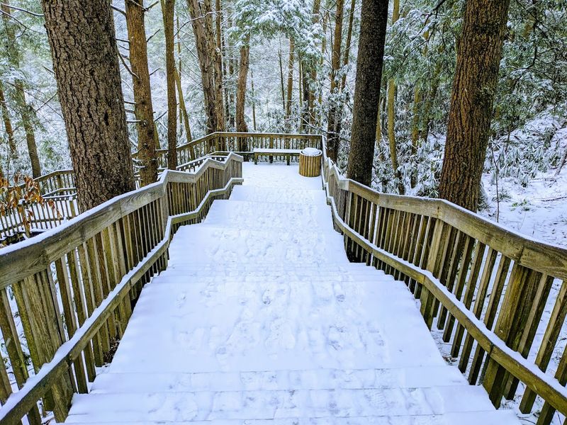 Winter at Blackwater Falls: A Frosty Wonderland Unlike Any Other