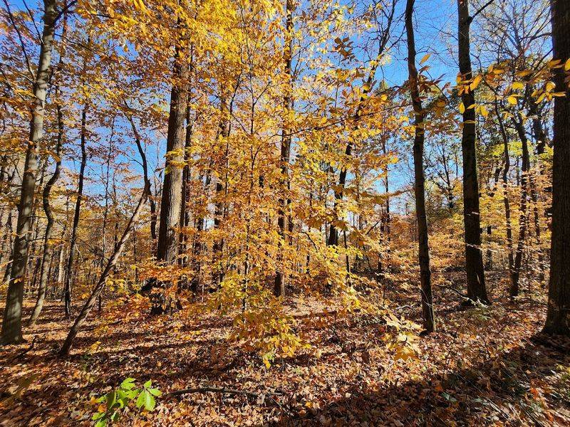 A Workout That Challenges You Without Requiring a Mountain