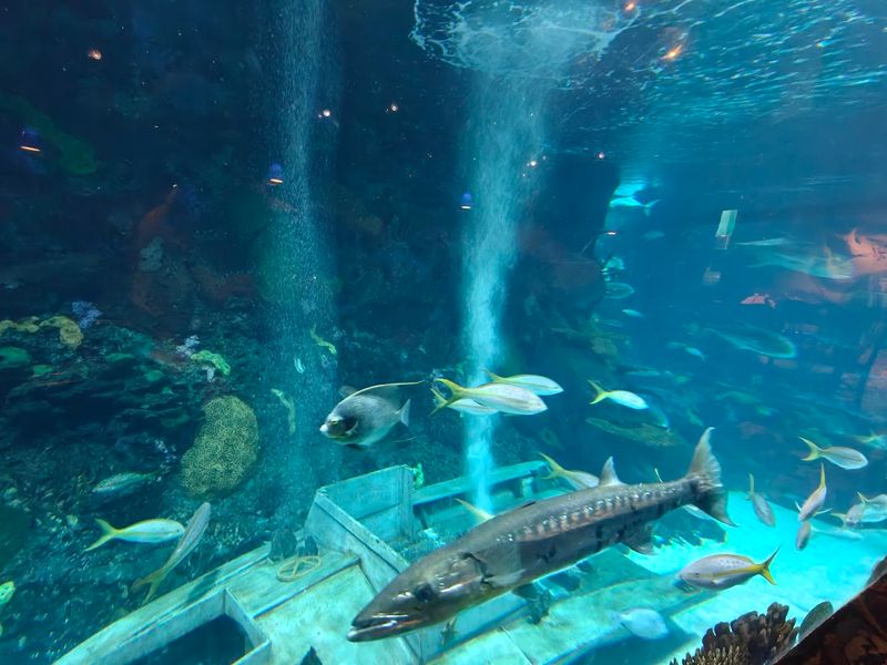 A Front-Row Seat To A Colorful Underwater World