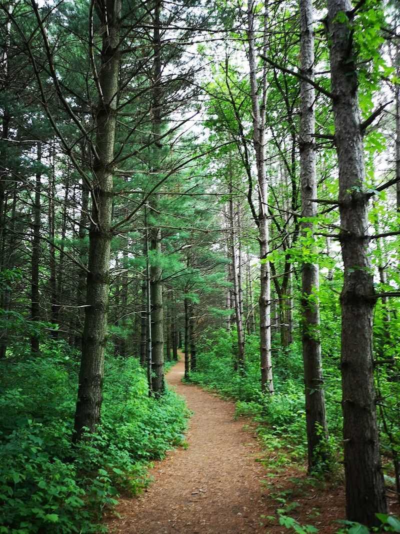 Lebanon Hills at 2,000 Acres of Pure Wilderness