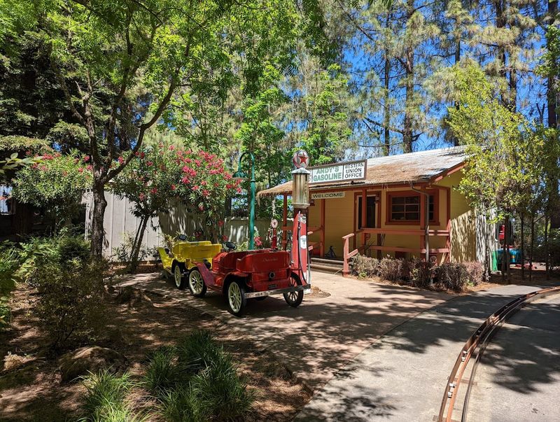 One Last Glance At The Blooming Canopy