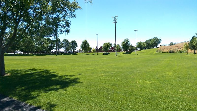 The Off-Leash Dog Park