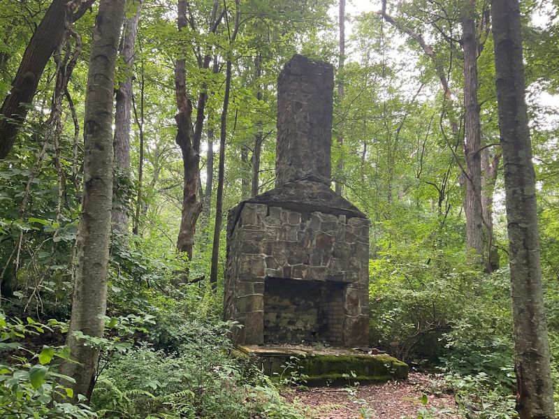 Hiking Trails That Wind Through Forests, Fields, and Quiet History