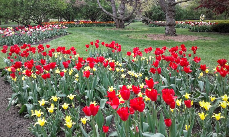 George Kessler's Landscape Design Still Impresses Over 100 Years Later