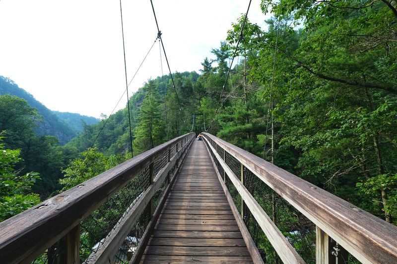The Suspension Bridge Changes The Mood