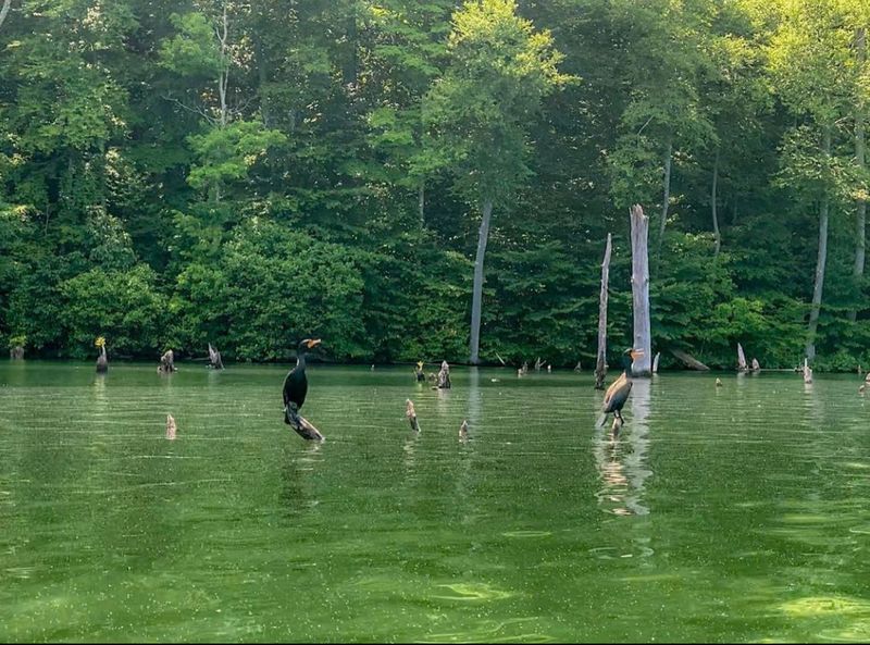 Wildlife Watching Around Every Bend