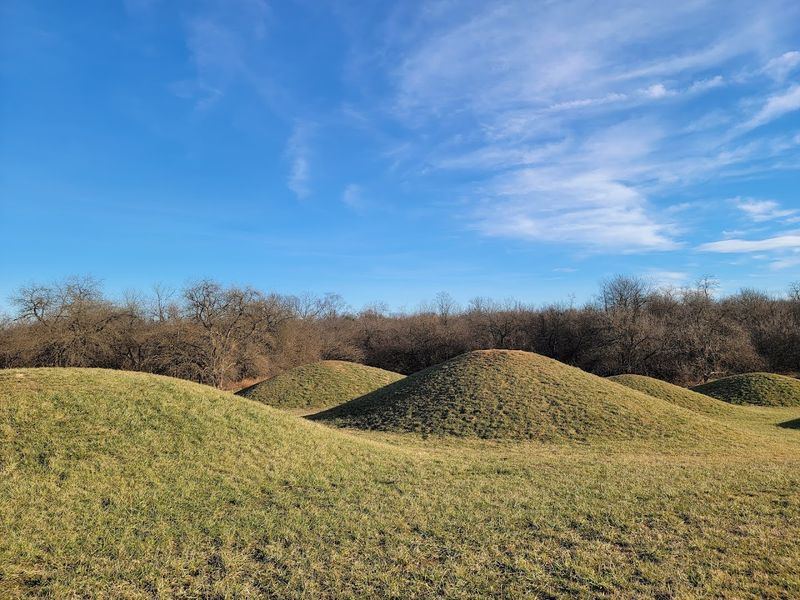 Picnic Mounds That Turn a Walk Into a Full Adventure