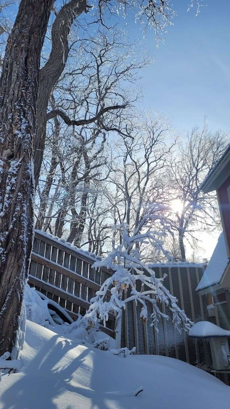 Moving Here: The Frozen Tundra of Social Acceptance