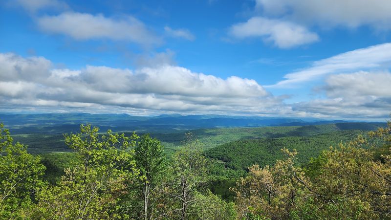 Birdwatching Paradise: The Wildlife Along the Trail