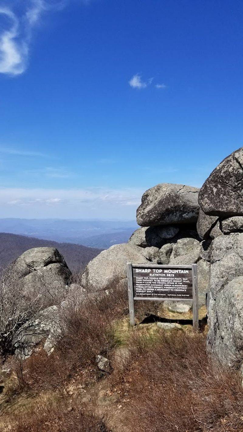 The Stone That Made History